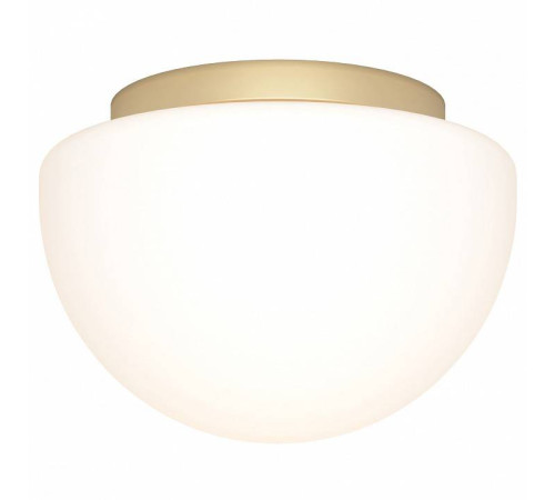 Накладной светильник Maytoni Glassy MOD270CL-01G