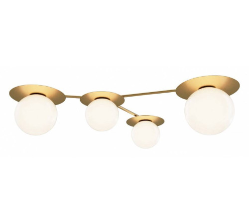 Потолочная люстра Maytoni Star Sky MOD291CL-04BS