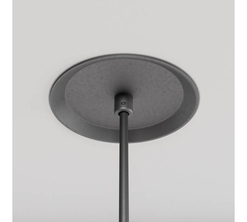 Подвесной светильник Maytoni Luna P039PL-5W3K-10INS-B