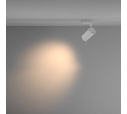 Светильник на штанге Maytoni Vuoro TR003-1-36W3K-M-W