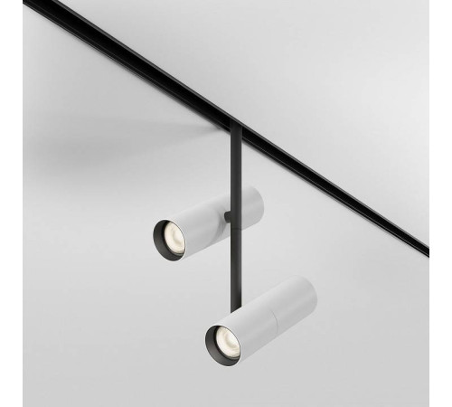 Светильник на штанге Maytoni Elti Duo TR005-2-2X12W3K-BW