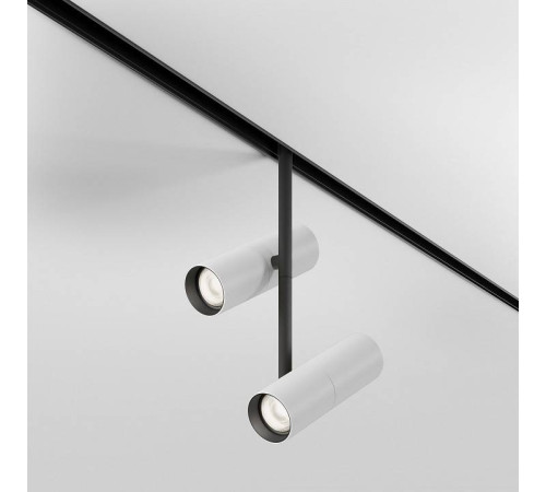 Светильник на штанге Maytoni Elti Duo TR005-2-2X12W4K-BW