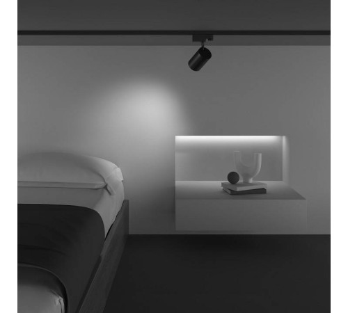 Светильник на штанге Maytoni Vuoro TR029-3-10W3K-M-B