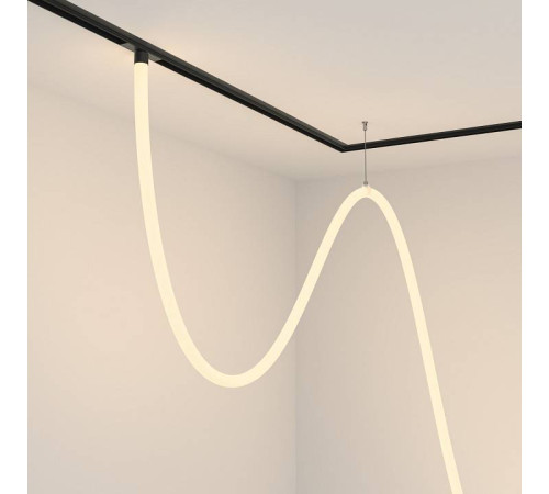 Подвесной светильник Maytoni Tau TR101-2-100W3K-B