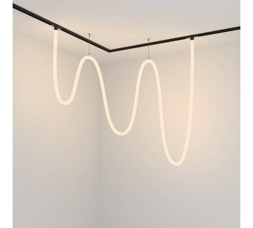 Подвесной светильник Maytoni Tau TR101-2-100W3K-B