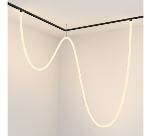 Подвесной светильник Maytoni Tau TR101-2-100W3K-B