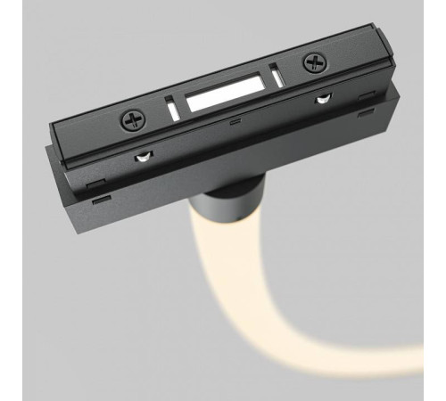 Подвесной светильник Maytoni Tau TR101-2-100W3K-B