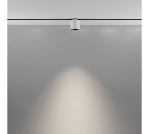 Светильник на штанге Maytoni Alfa S TR132-2-7W4K-W