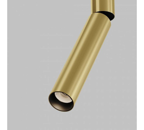 Светильник на штанге Maytoni Focus T TR142-1-6W3K-BS