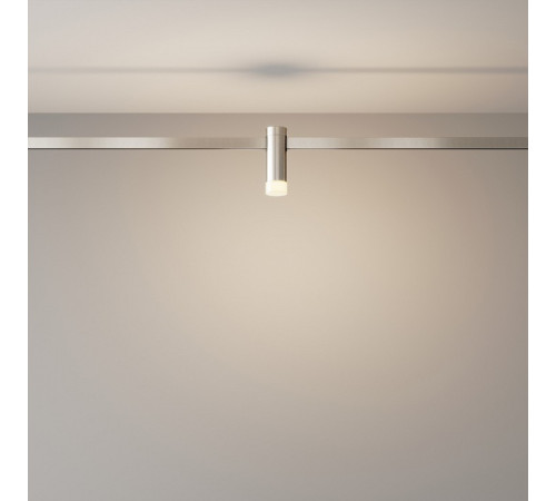 Накладной светильник Maytoni Skim TR145-1-3W3K-W-PT