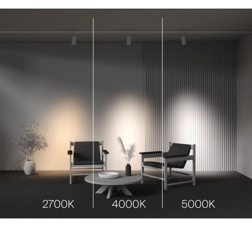 Светильник на штанге Focus Led TR197-3-40WCCT-M-W