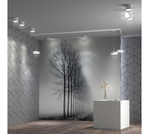 Накладной светильник Novotech Prometa 358749