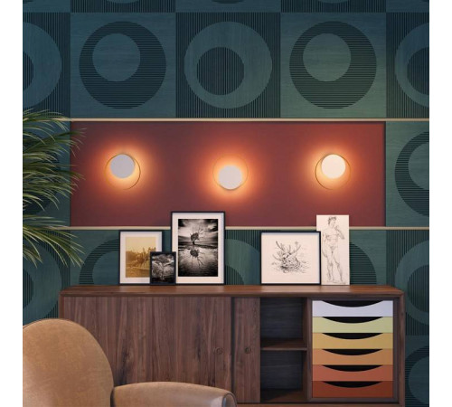 Накладной светильник Odeon Light Mondy 3899/7WW