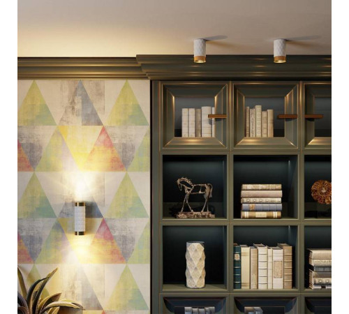 Накладной светильник Odeon Light Ad Astrum 4286/1C