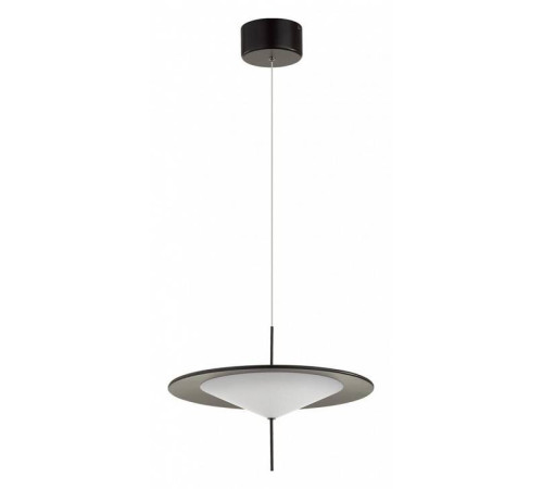 Подвесной светильник Odeon Light Steka 5012/16L