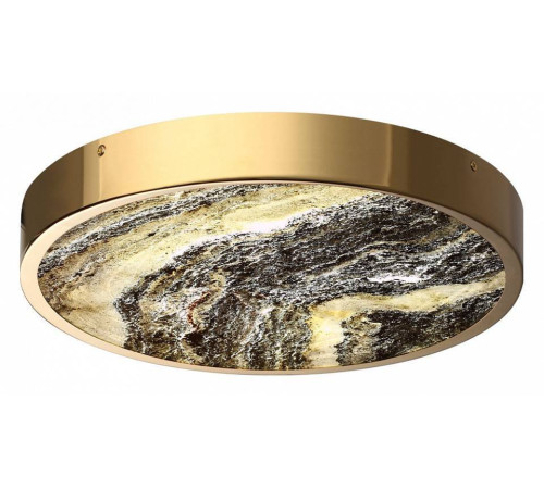 Накладной светильник Odeon Light Bergi 5079/30L