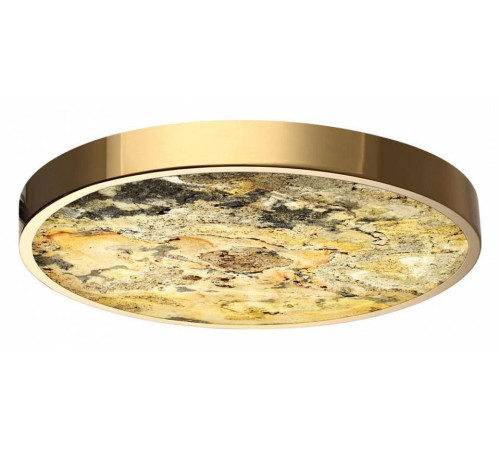 Накладной светильник Odeon Light Bergi 5079/40L