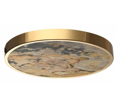 Накладной светильник Odeon Light Bergi 5079/40L