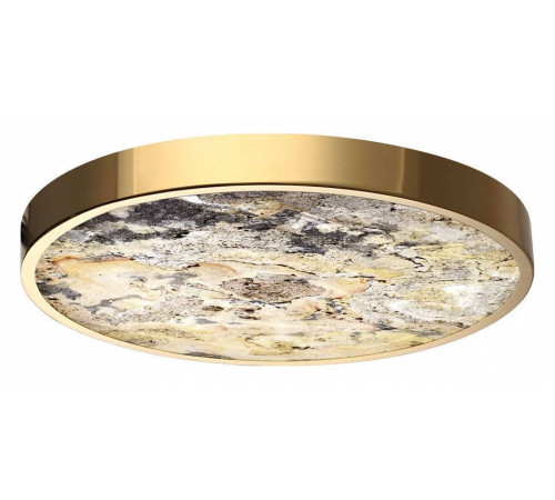 Накладной светильник Odeon Light Bergi 5079/40L