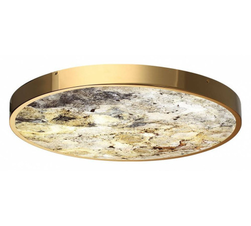 Накладной светильник Odeon Light Bergi 5079/50L