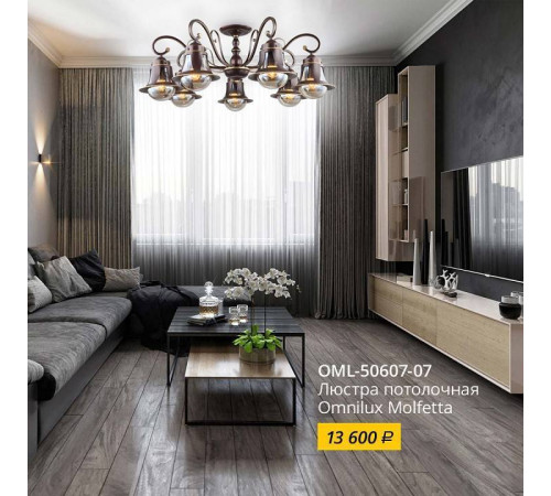 Люстра на штанге Omnilux Molfetta OML-50607-07