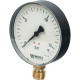 Манометр радиальный Watts F+R200 (MDR) 100 мм 1/2 16 бар 10008079
