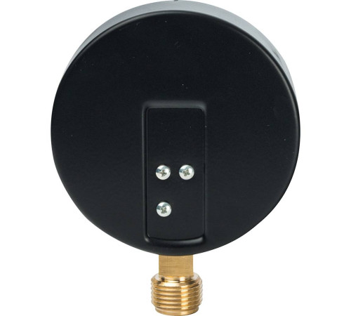 Манометр радиальный Watts F+R200 (MDR) 100 мм 1/2 16 бар 10008079
