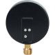 Манометр радиальный Watts F+R200 (MDR) 100 мм 1/2 16 бар 10008079
