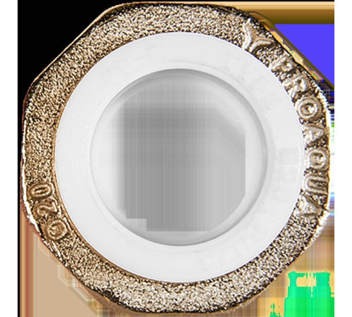 Муфта комбинированная разъемная Pro Aqua PP-R 20x3/4 ВР белая PA20010