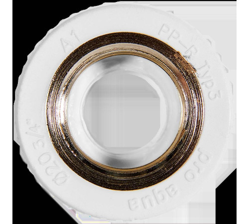 Муфта комбинированная Pro Aqua PPR ВР 20х3/4 белая PA22010P