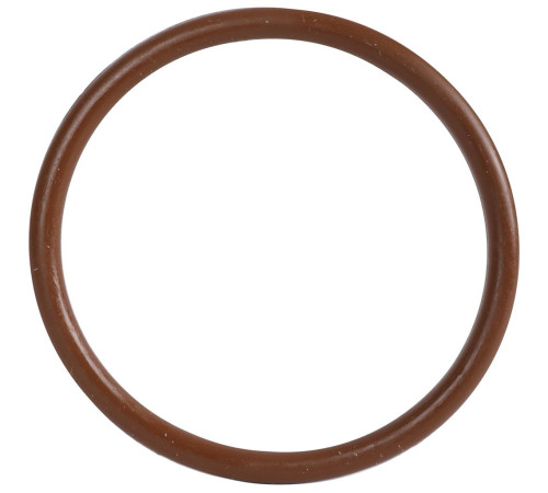 Уплотнительное кольцо ROMMER FPM 54 мм RSS-0028-000054