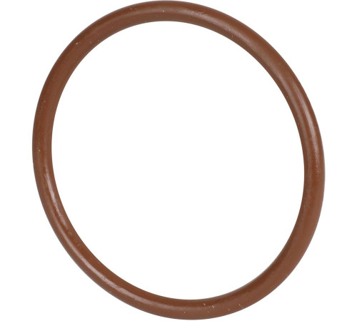 Уплотнительное кольцо ROMMER FPM 54 мм RSS-0028-000054