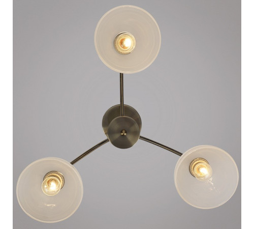 Люстра на штанге 01425-0.3-03 AB