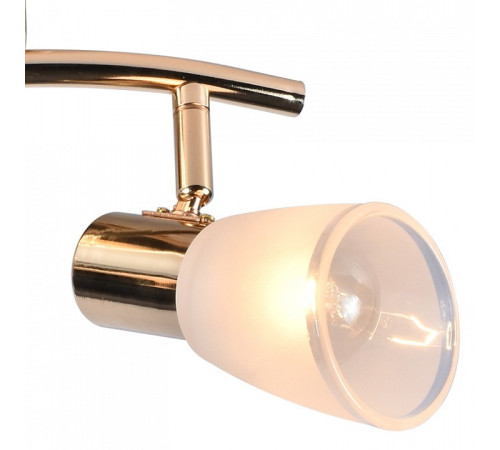 Люстра на штанге De Markt 05947-0.8-04 FGD