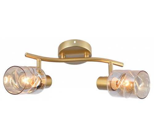 Светильник на штанге Elektrostandard 05963-0.8-02 GOLD