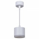 Подвесной светильник Reluce 53004 53004-0.9-001LD GX53 WT