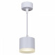 Подвесной светильник Reluce 53004 53004-0.9-001LD GX53 WT