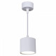 Подвесной светильник Reluce 53005 53005-0.9-001LD GX53 WT