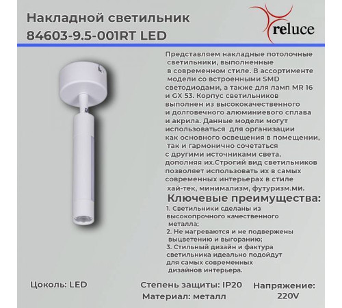 Светильник на штанге 84603-9.5-001RT LED5W*2W WT