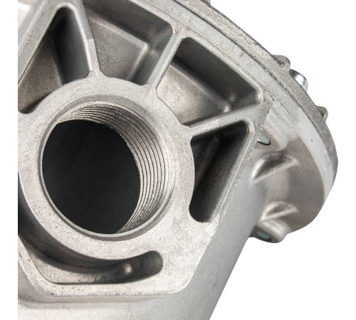 Фильтр газовый Watts FG 25 1 Pmax 1 бар 10020991