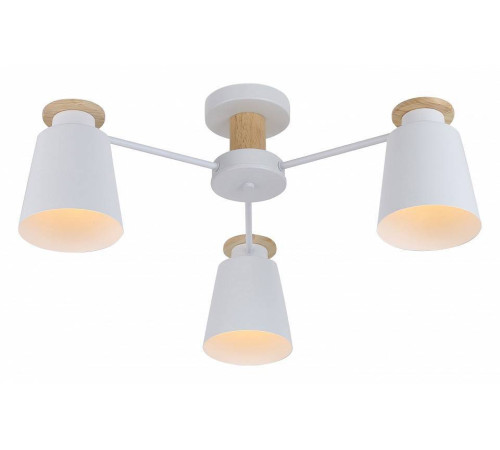 Потолочная люстра Rivoli Adna Б0053435