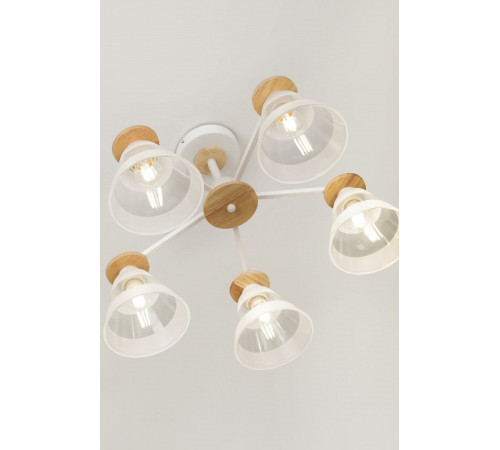 Люстра на штанге Rivoli Theothila Б0068467