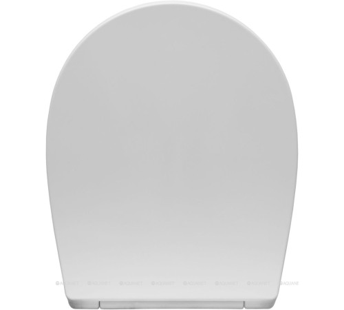 Сиденье для унитаза Allen Brau Fantasy Smartfix Soft-Close дюропласт белый матовый 4.11005.21