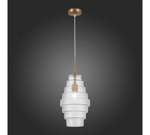 Подвесной светильник ST-Luce Rexite 1 лампа SL1001.213.01