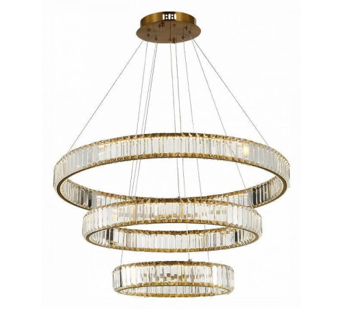 Подвесной светильник ST-Luce Tivoli SL1622.303.03