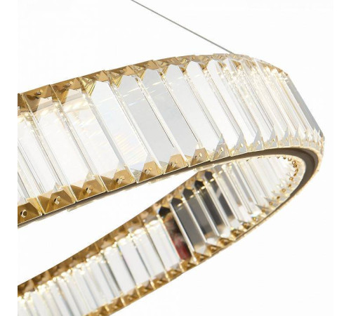 Подвесной светильник ST-Luce Tivoli SL1622.313.01