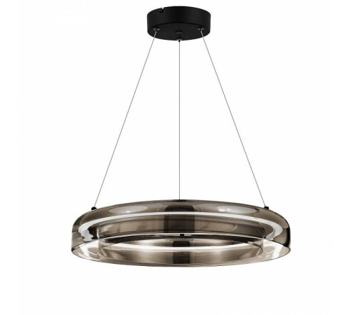 Подвесной светильник ST-Luce Foray SL6019.333.01