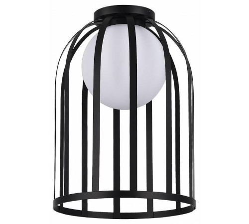 Накладной светильник ST-Luce Nordic SL6129.402.01