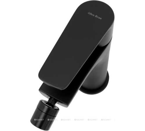 Смеситель для биде Allen Brau ECLIPSE 2.0 черный матовый 5.E1A10-31