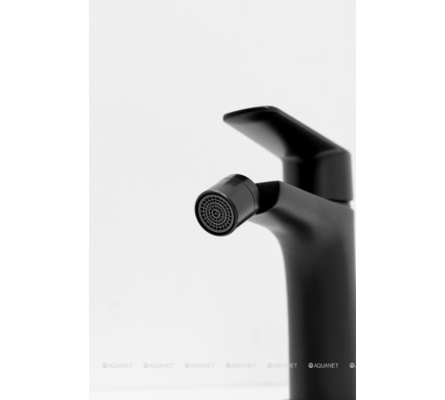 Смеситель для биде Allen Brau ECLIPSE 2.0 черный матовый 5.E1A10-31